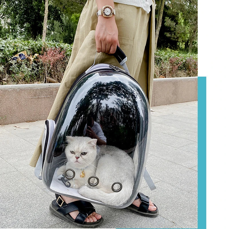 Space Capsule Carrier