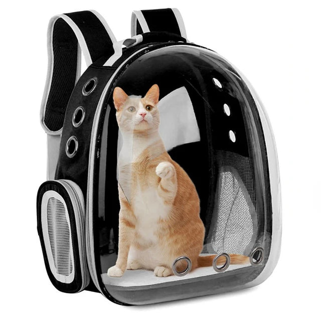 Space Capsule Carrier
