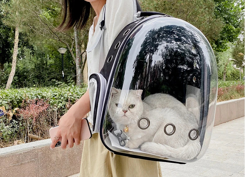 Space Capsule Carrier
