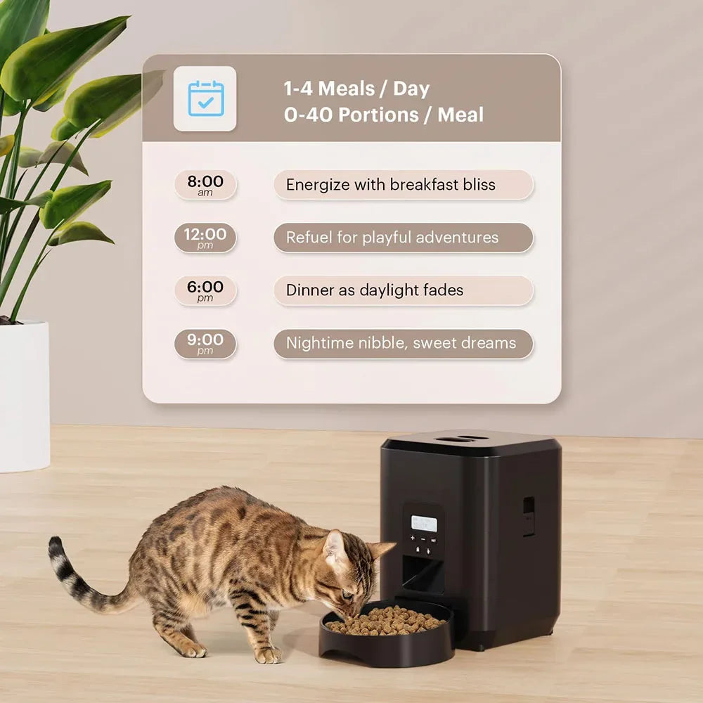 Smart Automatic Cat Feeder - CatThingz