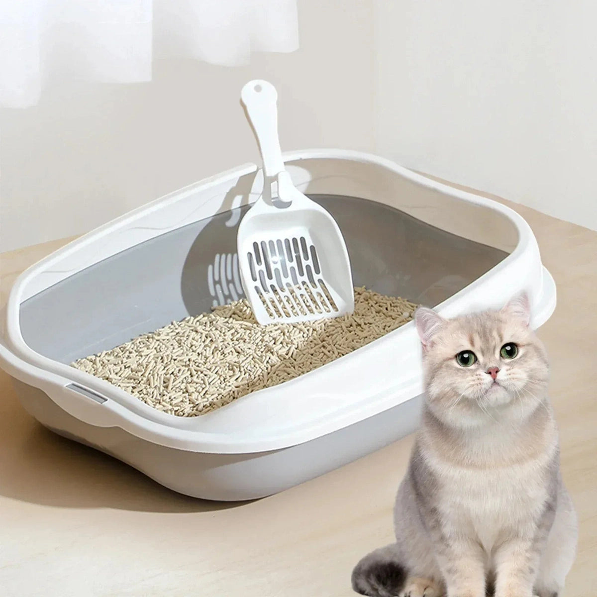 Anti-Splash Litter Box - CatThingz